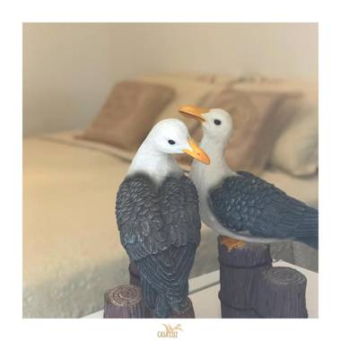 Casa Luz - Fernando de Noronha