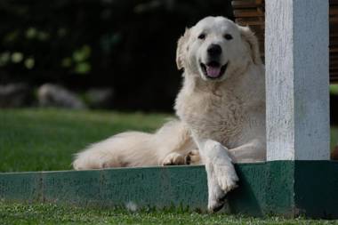 Pousada Refugio Monte Olimpo