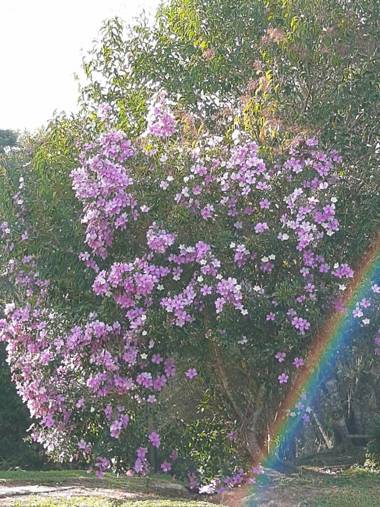 CHÁCARA QUEDINHA D'ÁGUA