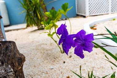 Saunders Beach Cottage