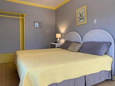 Turtles Nest Bahamas