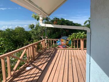 Turtles Nest Bahamas