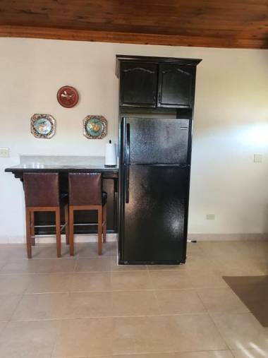 Fishtail Palms - Sapodilly