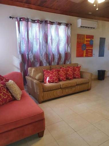 Fishtails Palms - Mahogany