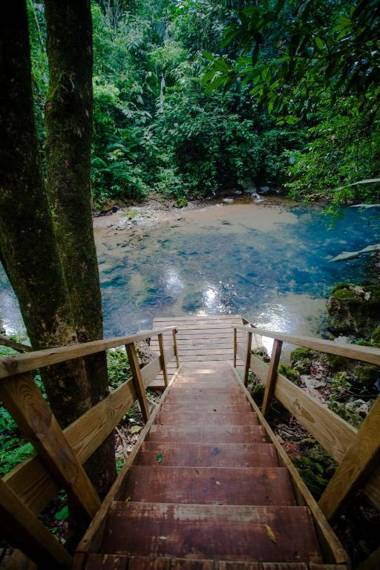 Jaguar Creek