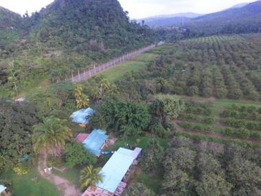 CHARMING JUNGLE HOME ON PRIVATE ORANGE ORCHARD