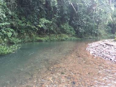 CHARMING JUNGLE HOME ON PRIVATE ORANGE ORCHARD