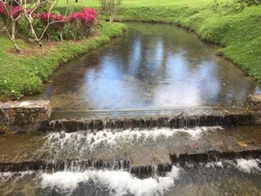 CHARMING JUNGLE HOME ON PRIVATE ORANGE ORCHARD