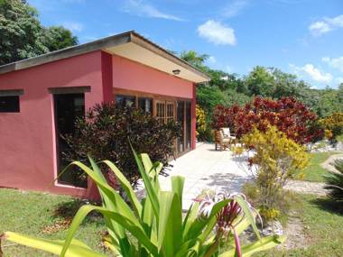 Gumbo Limbo Jungle Resort