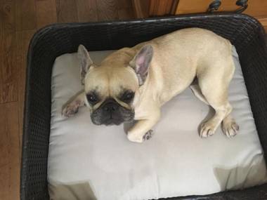 Holiday Inn Express Hotel & Suites Clarington - Bowmanville an IHG Hotel