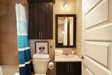 INITIAL - MAITRE - Chutes-Montmorency