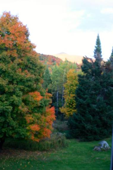 Chalets et Studios Le Vent Du Nord
