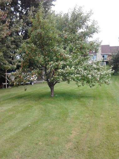 Appartement Bellevue