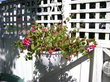 Lakelawn B&B and Motel