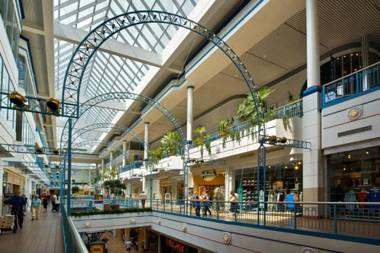 New Listing Cozy Downtown Loft Rooftop Patio BBQ Gym Coffee