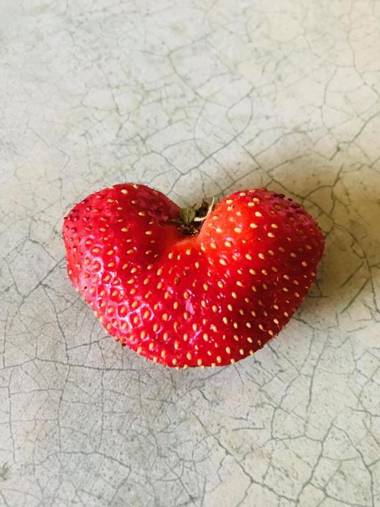 Auberge De Mon Petit Chum B&B