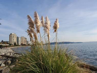 Your Alternative to a Five Star Hotel - Premium Location