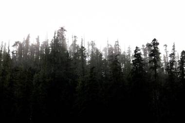 Pluvio restaurant and rooms