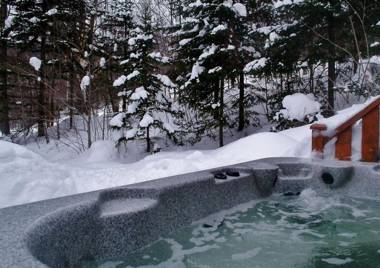 Chalets Alpins - 38 Chemin des Skieurs