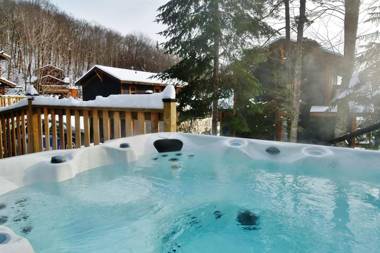 Chalets Alpins- 10-A Chemin Alpin