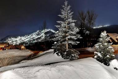 Chalets Alpins- 15 Chemin des Skieurs