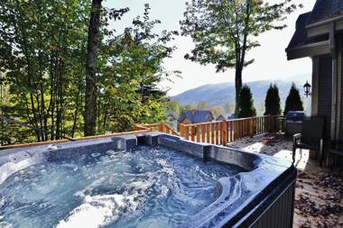 Chalets Alpins - 1 Chemin des Montagnards