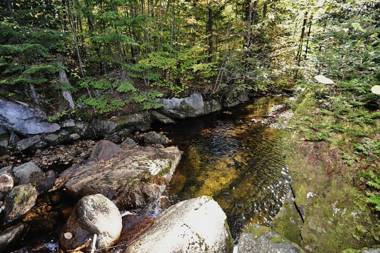 Chalets Alpins - 17 Chemin des Skieurs
