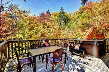 Chalets Alpins- 18 Chemin Alpin