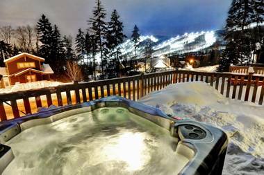 Chalets Alpins - 12 Chemin Alpin