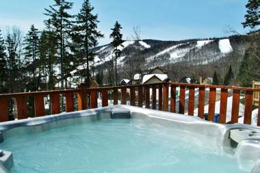 Chalets Alpins - 12 Chemin Alpin