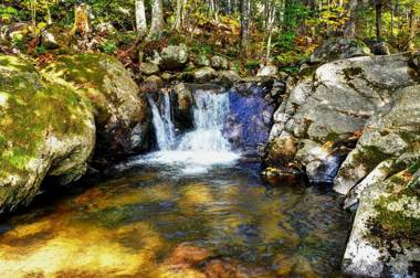 Chalets Alpins - 12 Chemin Alpin