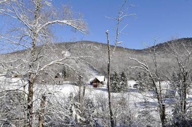 Condo 306 33 Chemin du Hameau by Les Chalets Alpins