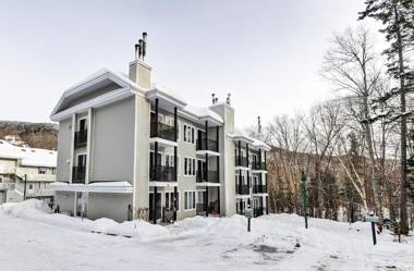 Condo 12 35 Chemin du Hameau by Les Chalets Alpins