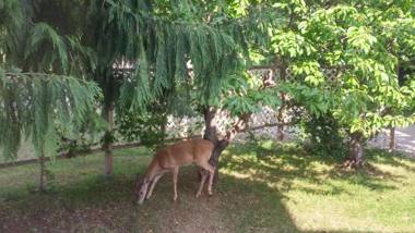 Cornerstone Bed and Breakfast