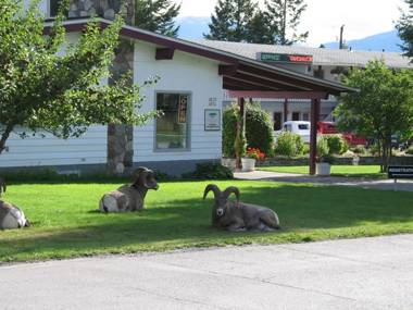 Mountain Springs Motel