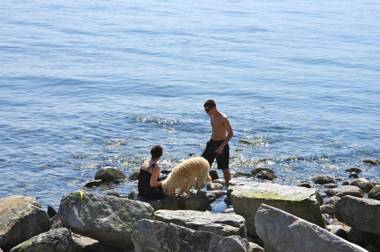 Blitz Beach House Oceanside Suite