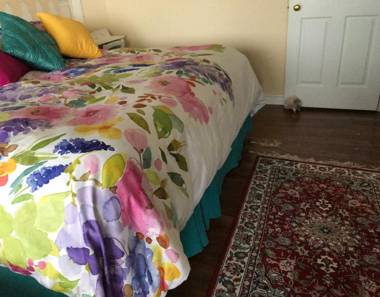 Golden Pathways Retreat B&B