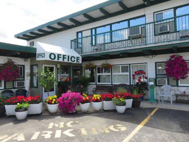 Flamingo Motel