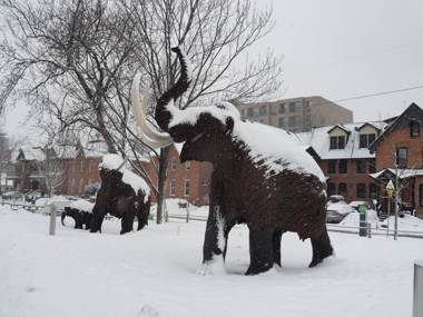 Downtown Bed and Breakfast