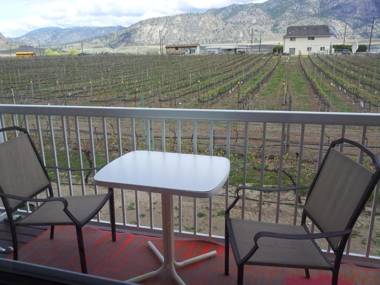 Sonora Desert Winery and Countryside B&B