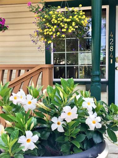 Ellis House Bed & Breakfast