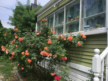 Niagara Inn BnB Nobreakfast