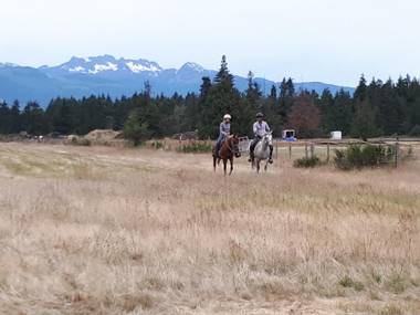 Paradise Acres Ranch