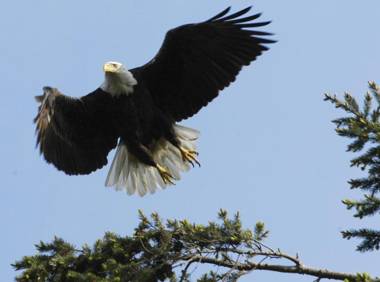 Long Lake Waterfront Bed and Breakfast