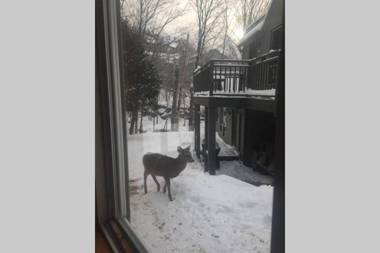 The MountainSide by Escapades Tremblant