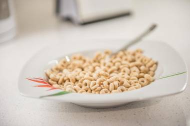 Gite du Survenant Montreal