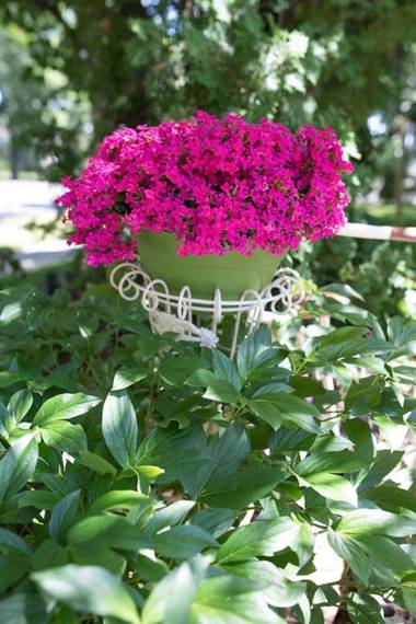 Charles Street Vacation Home