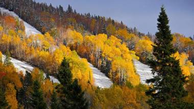 Les Bouleaux - Les Chalets Spa Canada