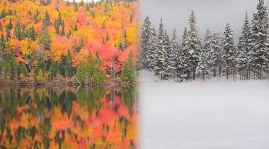 Le Bivouac - Les Chalets Spa Canada