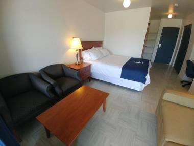 La Baleine Endiablée Microbrasserie